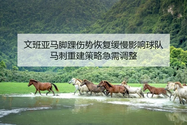 文班亚马脚踝伤势恢复缓慢影响球队 马刺重建策略急需调整