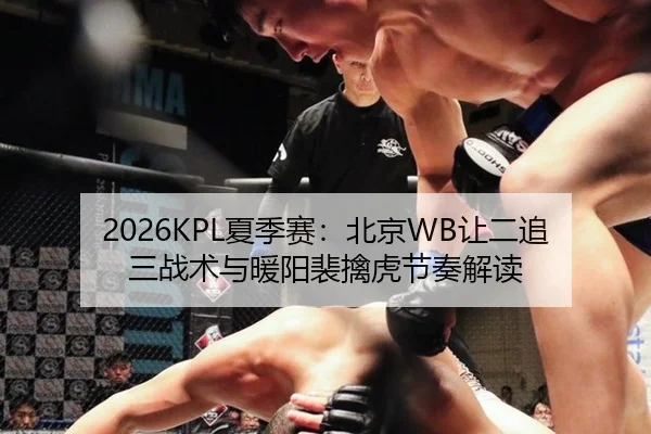 2026KPL夏季赛：北京WB让二追三战术与暖阳裴擒虎节奏解读